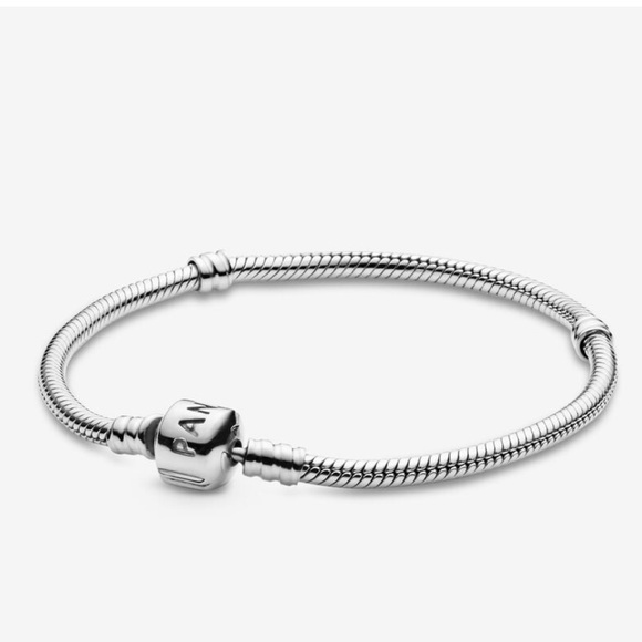 Pandora Moments 925 sterling silver snake chain classic charm bracelet EUC! - Picture 6 of 10